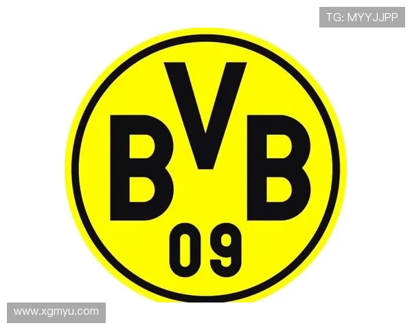 德甲所有球队名称缩写及含义大全